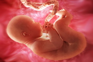 Как происходит процесс зачатия ребенка