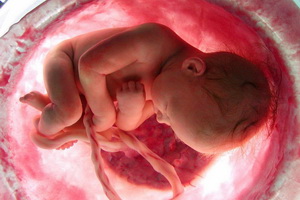 Шевеления ребенка при первой беременности: когда начинаются и на что похожи Шевеления ребенка при первой беременности: когда начинаются и на что похожи